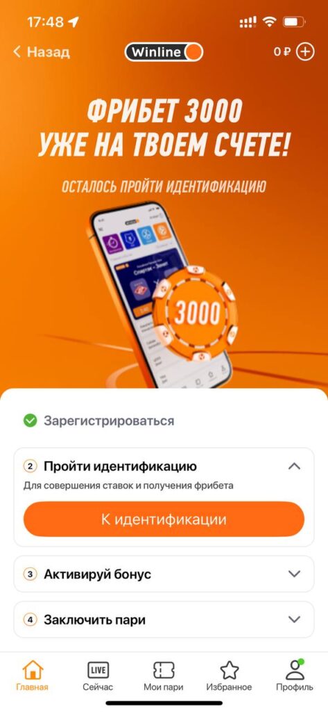 Идентификация в Винлайн